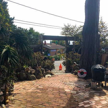 Stinson Beach Redwoods Haus Bed & Breakfast Exterior foto